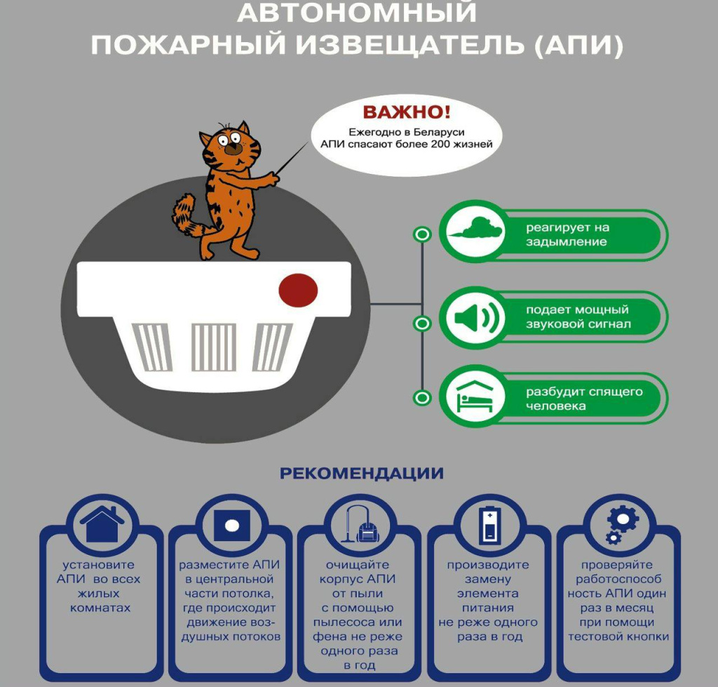 АПИ.jpg